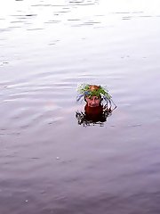 With a garland made of water